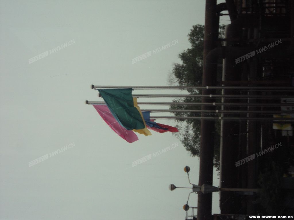 DSC08711.jpg