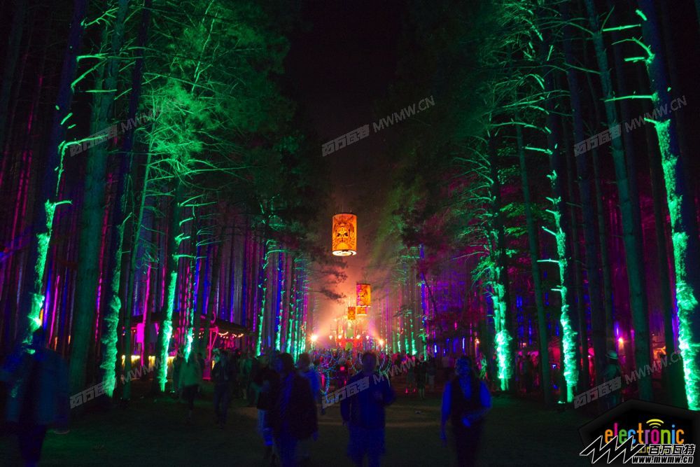 Electric-Forest-2013-day-1-16.jpg