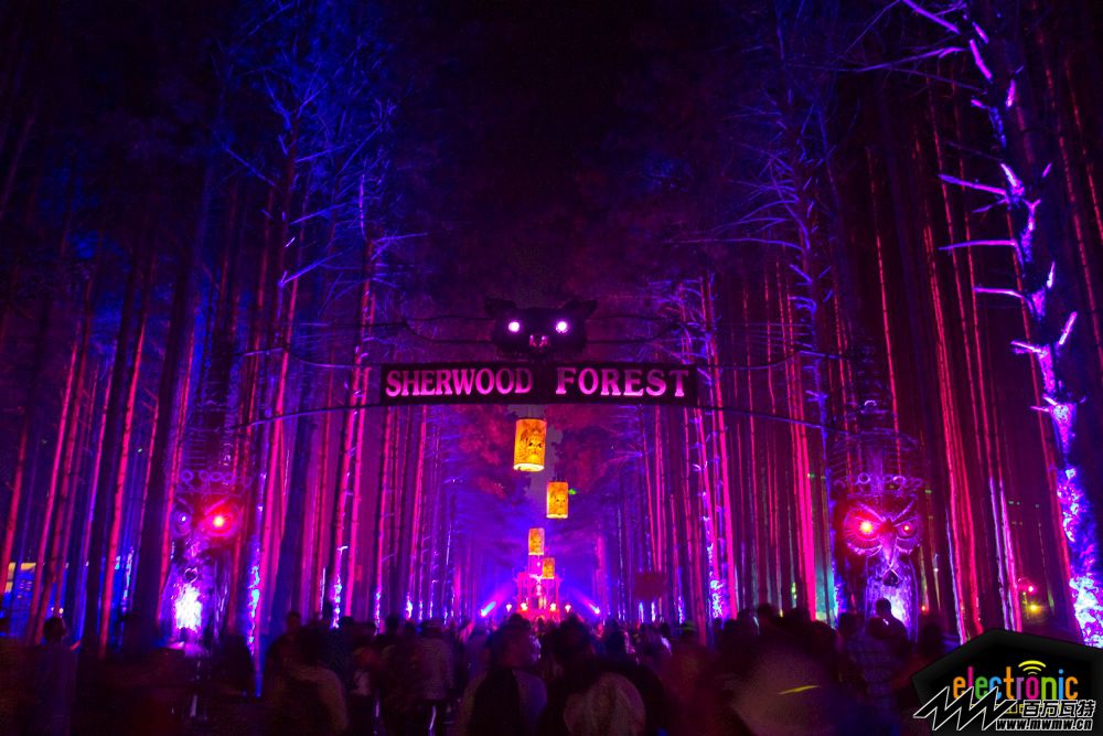 Electric-Forest-2013-day-1-23.jpg