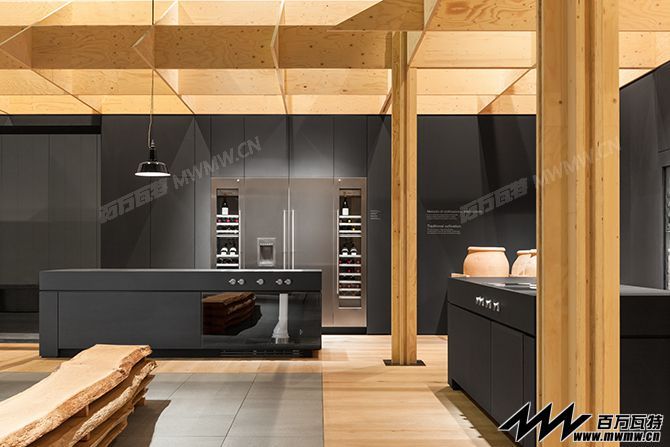 Gaggenau-euro2014-05.jpg