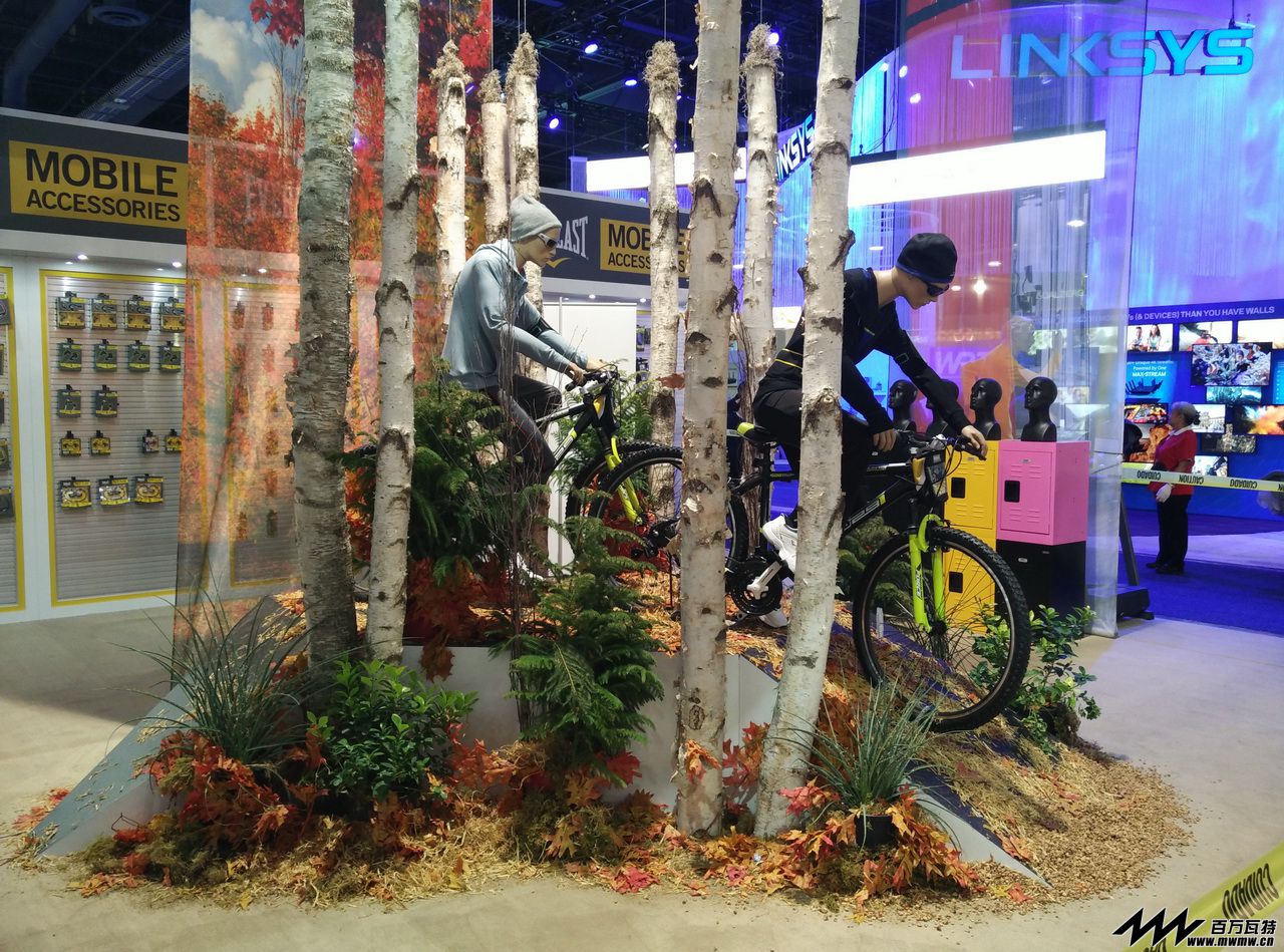 IMG_20160109_091055.jpg